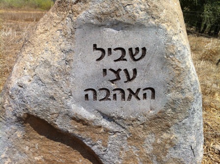 שביל עצי האהבה